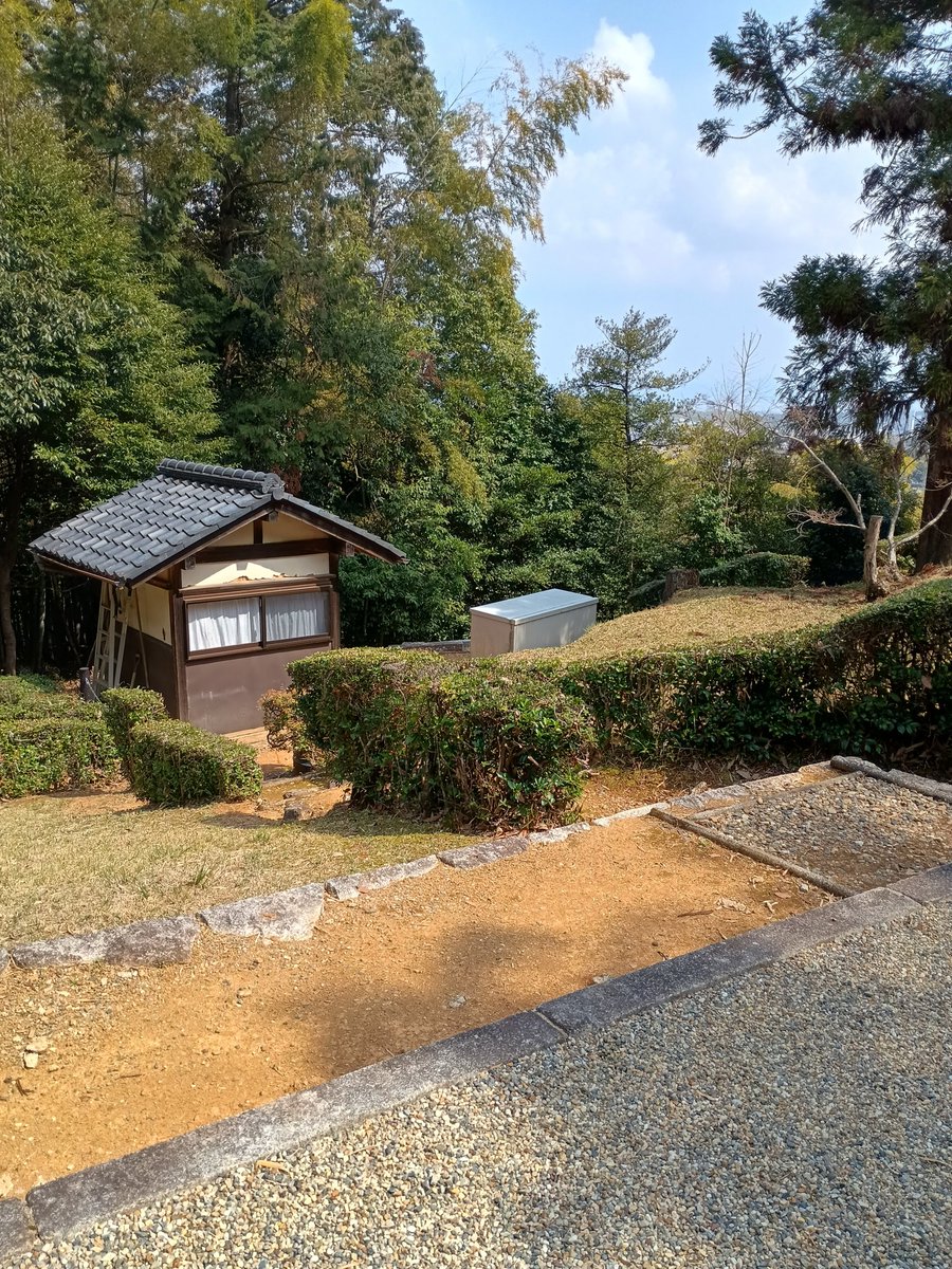 やっほー tweet media