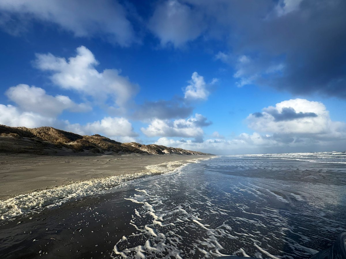 richardtkiewiet tweet media