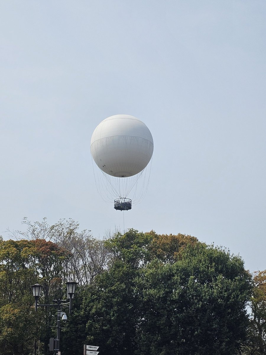 あんころ tweet media