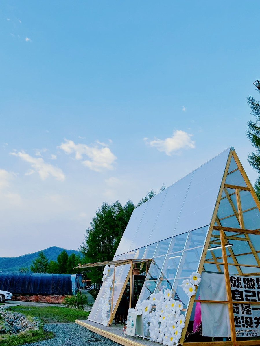 Lapusan Cristian tweet media