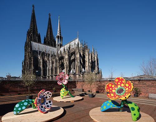 Daljin.com tweet media