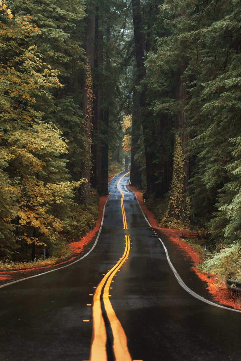 Hunter Rayl | Photographer tweet media