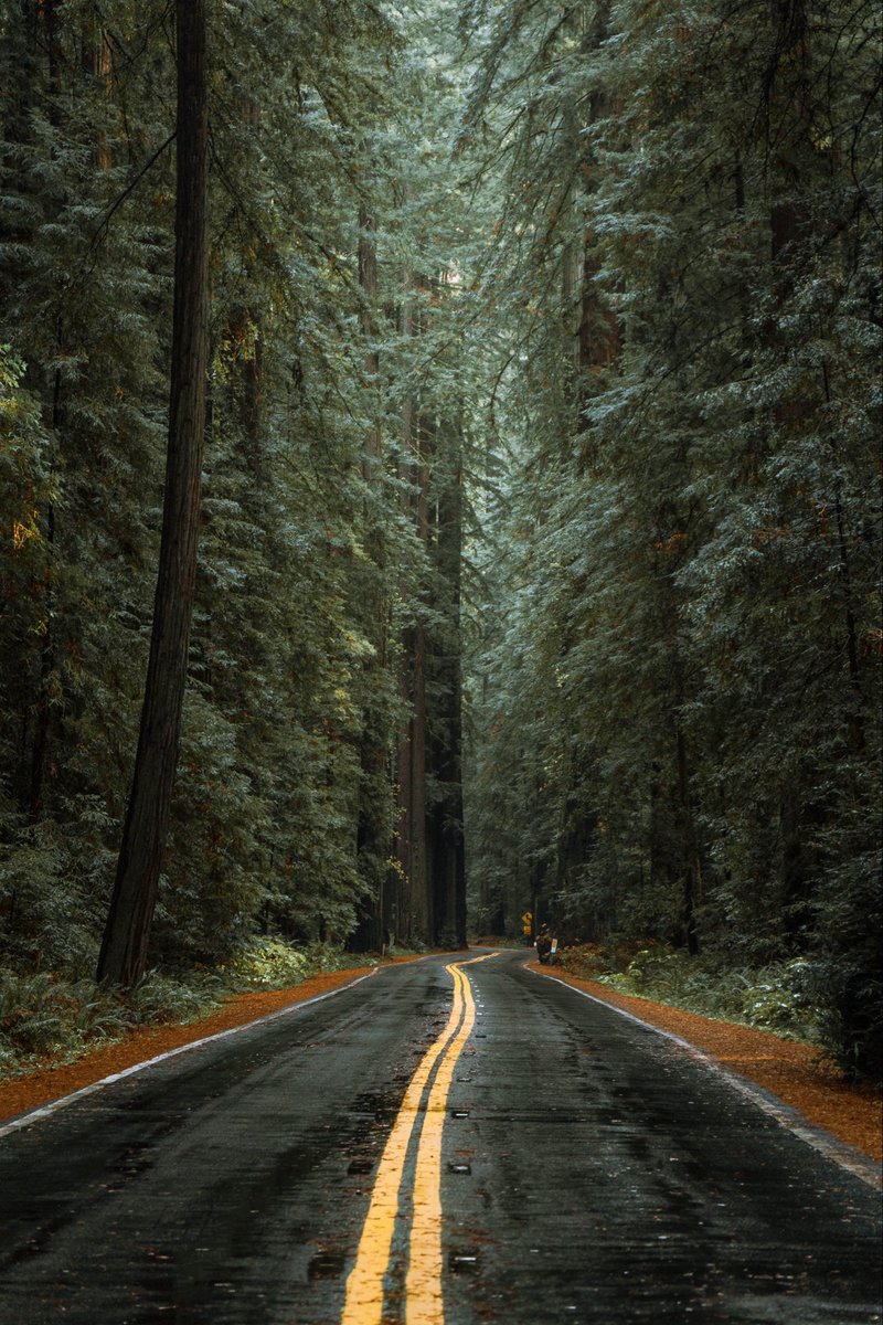Hunter Rayl | Photographer tweet media
