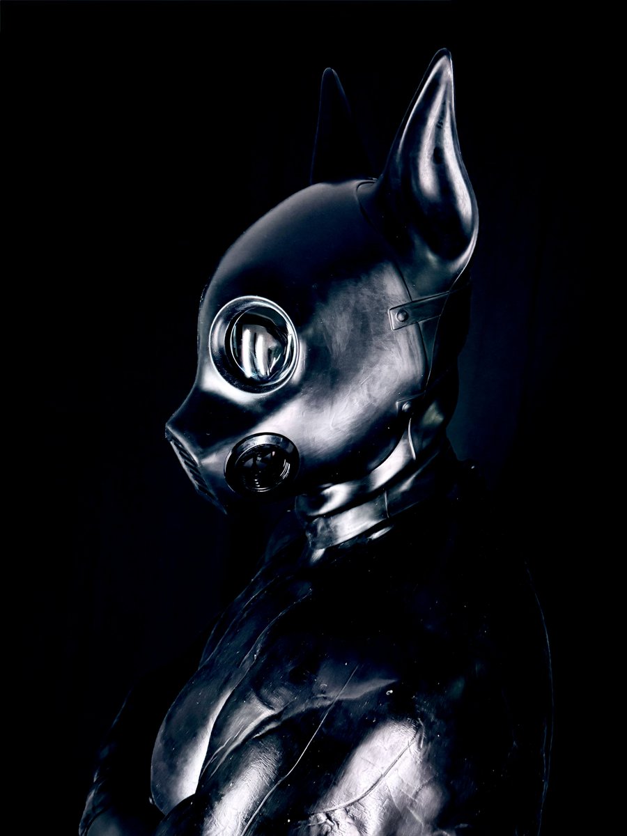 Gearbound tweet media