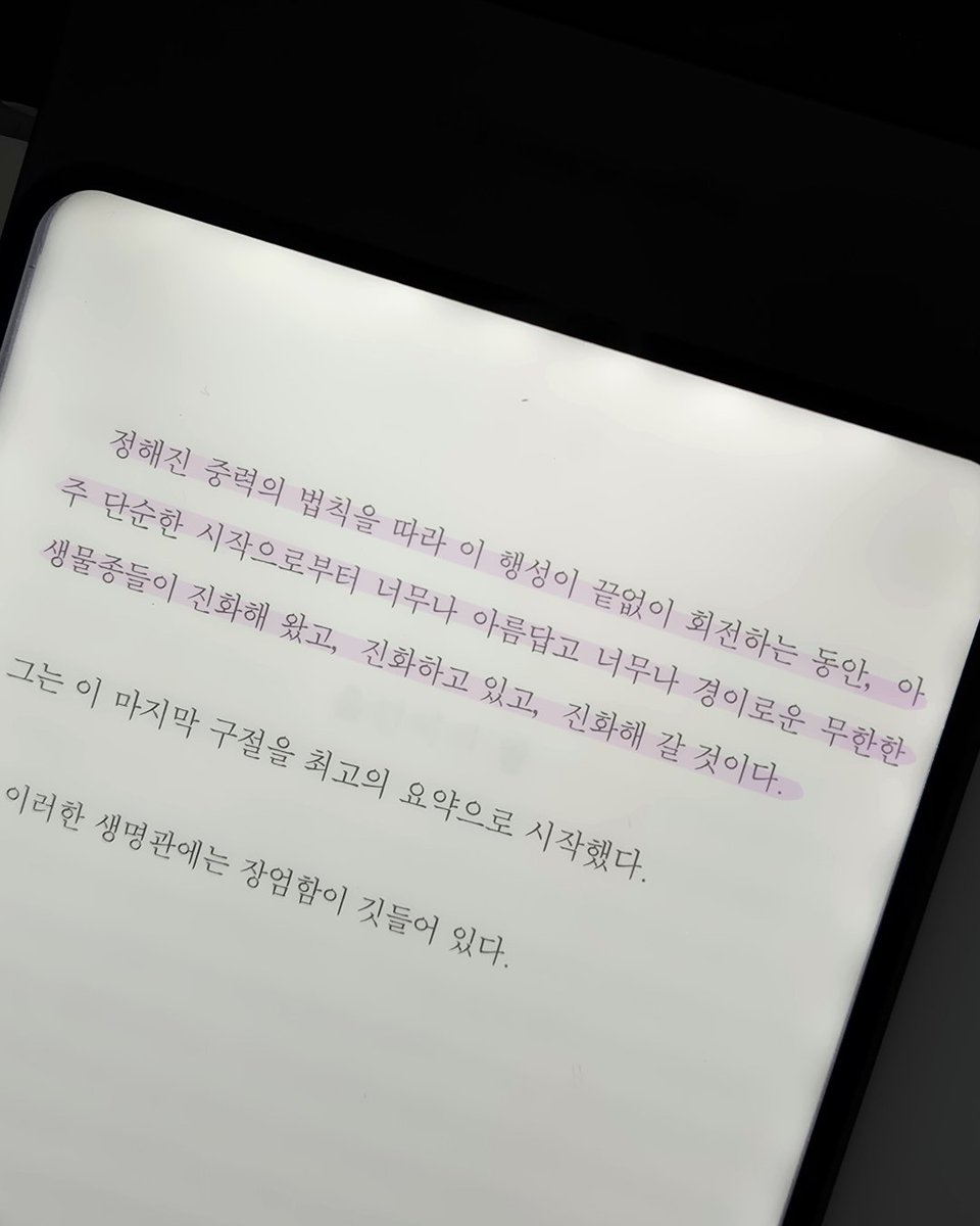 북라이트 어슴프레 tweet media