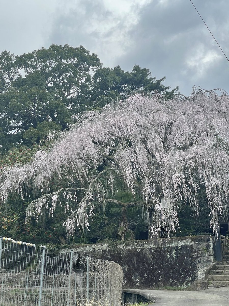 浜田小5冬 tweet media