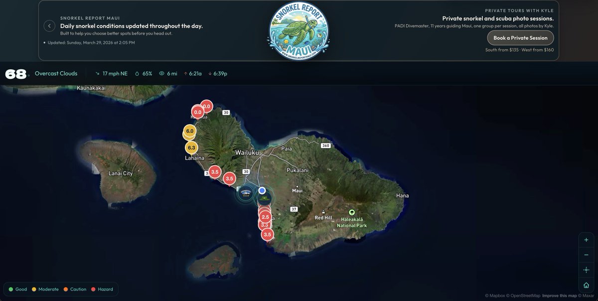 AnElectricOcean tweet media