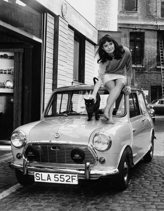 Superstar_Cars's tweet image. #MiniMonday you say?

📷 Actress Isobel Black takes delivery from John Sprinzel Racing in Lancaster Mews, which also supplied cars to Ringo Starr, Ursula Andress, Cathy McGowan and more. 

#Mini #CatsOfTwitter 🐈‍⬛