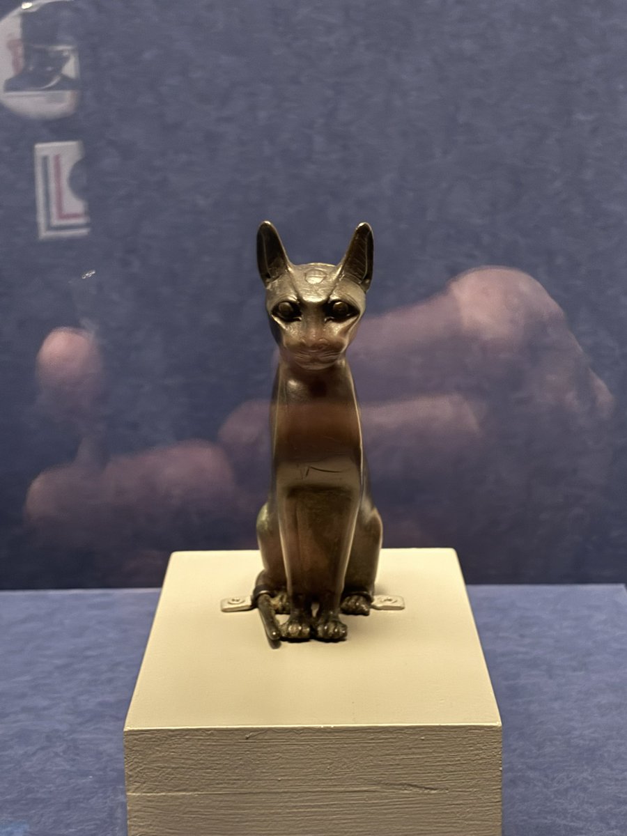 カフェミィチョ〜roast&suply〜/龍 tweet media