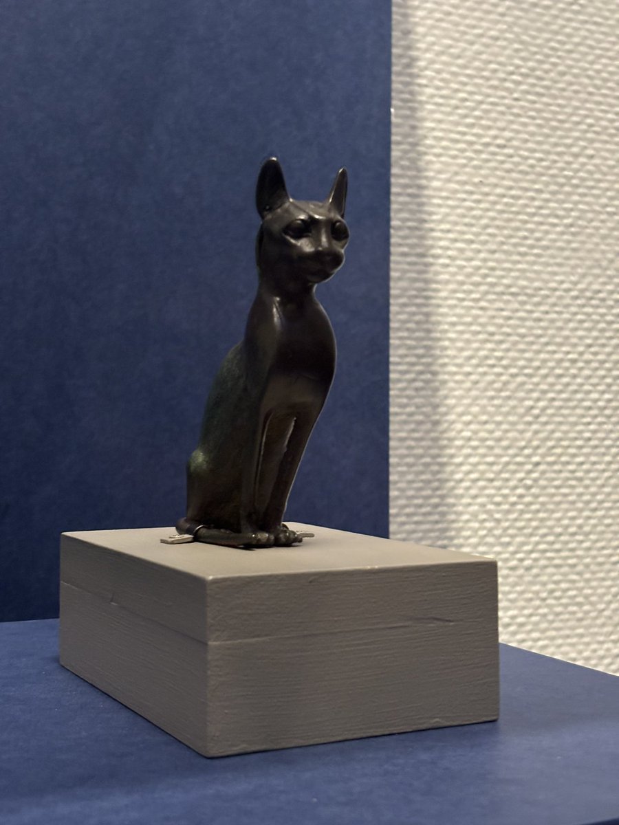 カフェミィチョ〜roast&suply〜/龍 tweet media