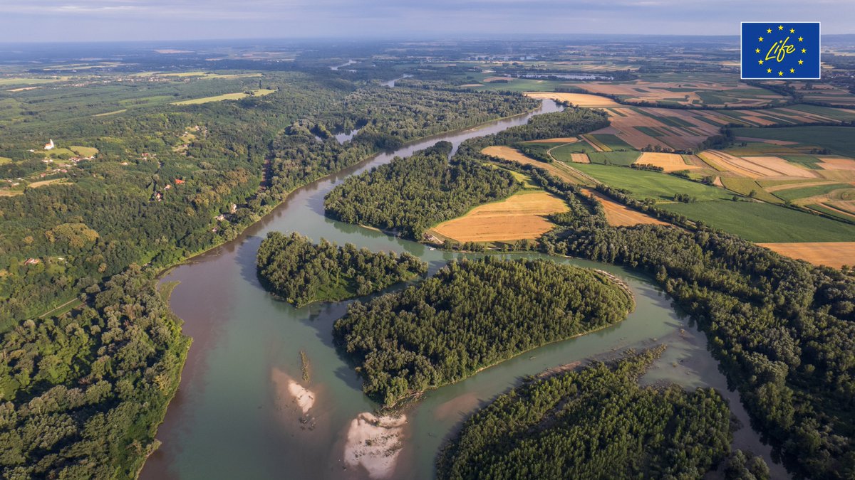 LIFE Programme tweet media