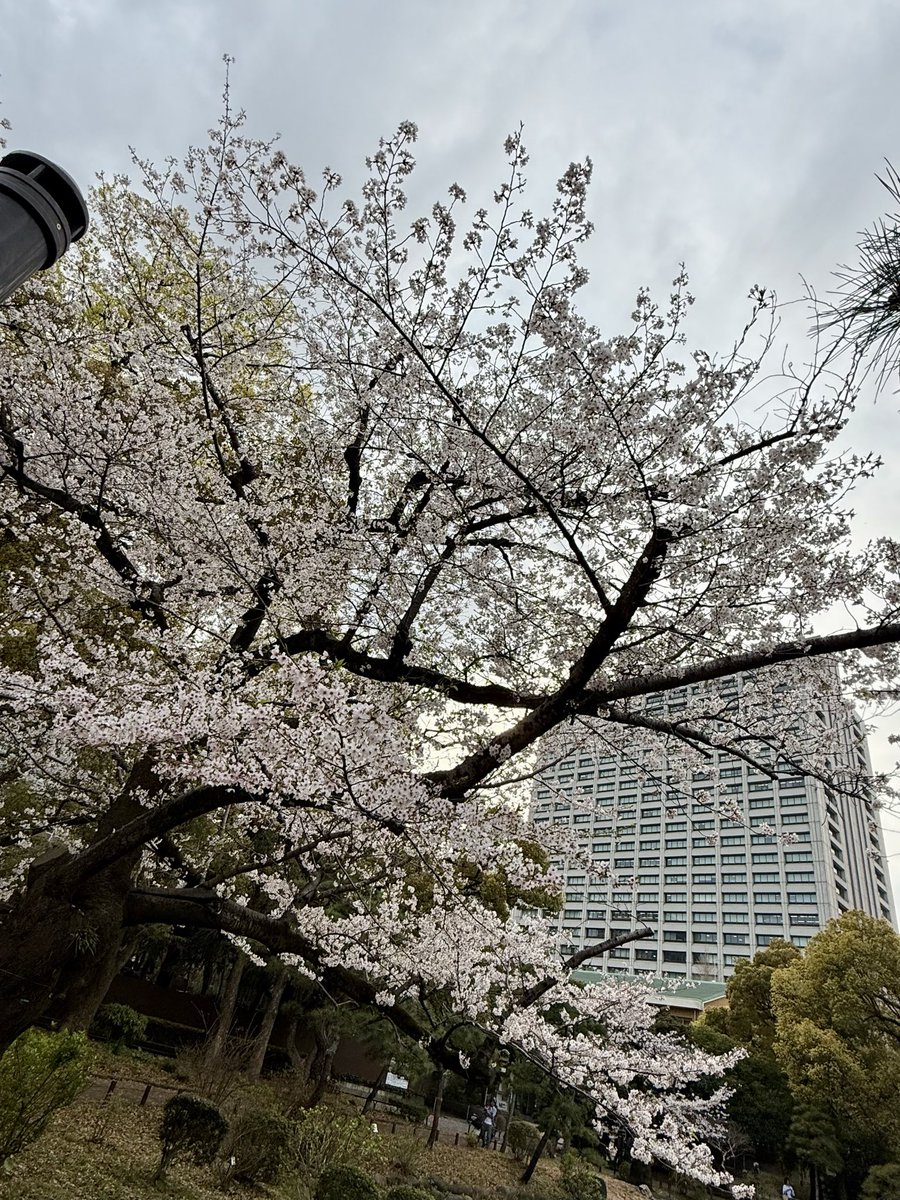 髙野ピエール tweet media