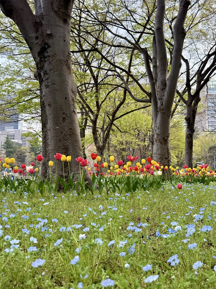 髙野ピエール tweet media