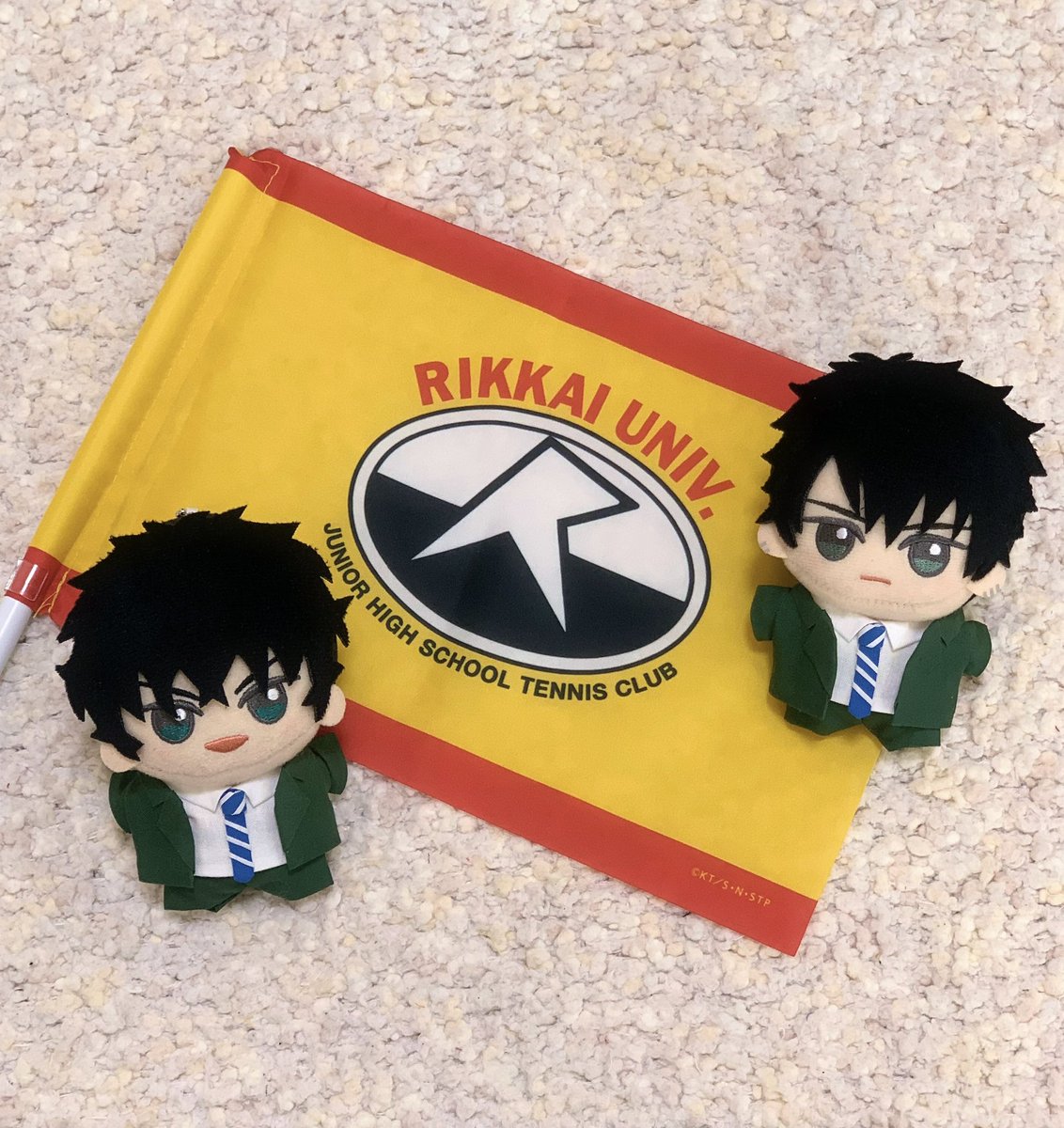 まめ🌱 tweet media