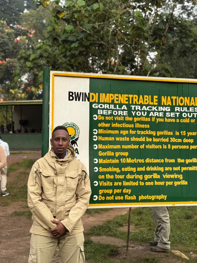 Standard Safaris tweet media