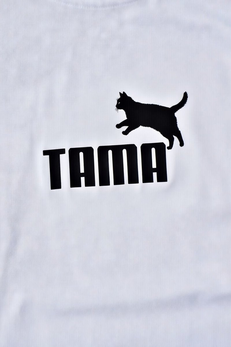 Koharu Aoki 🌏🦊🇯🇵 青木小春 tweet media