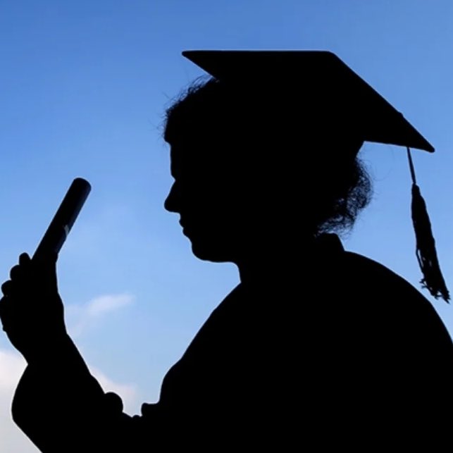 Gusholder Haber Bülteni tweet media