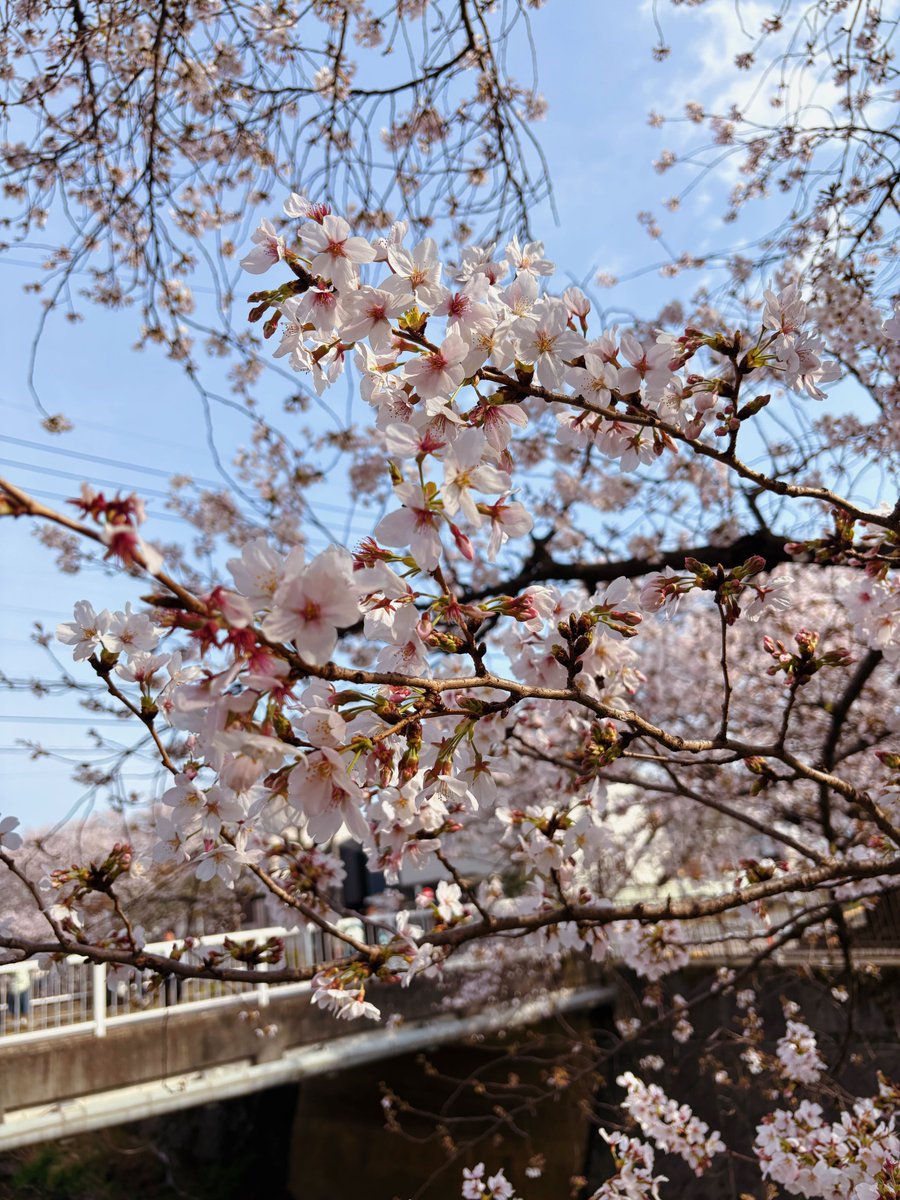 テクノツール株式会社 tweet media