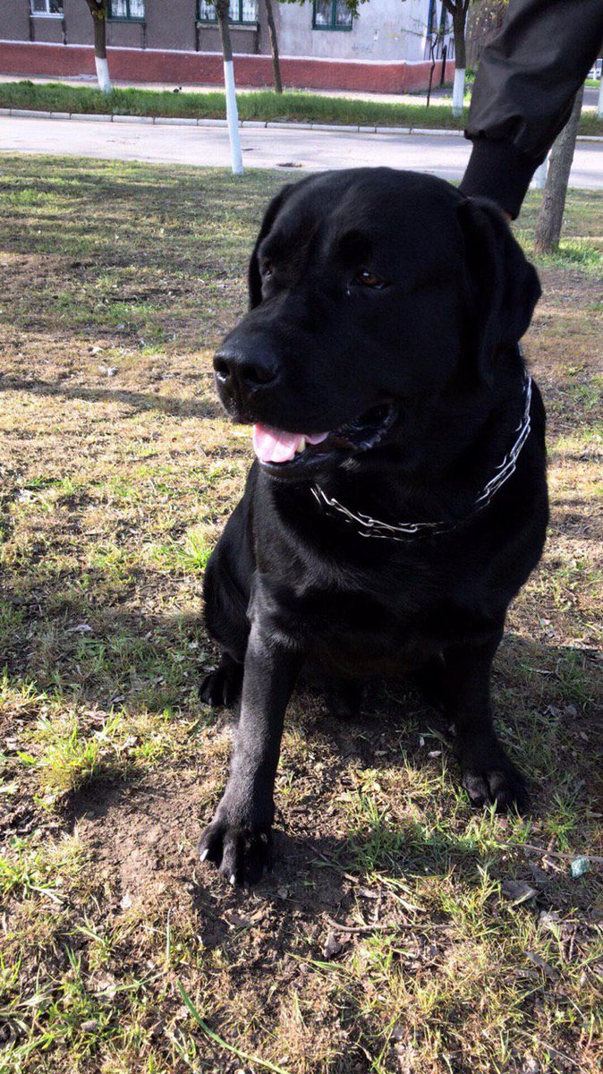 Bangchan is my Icon 👑🌊||DO IT🩶🩷 tweet media