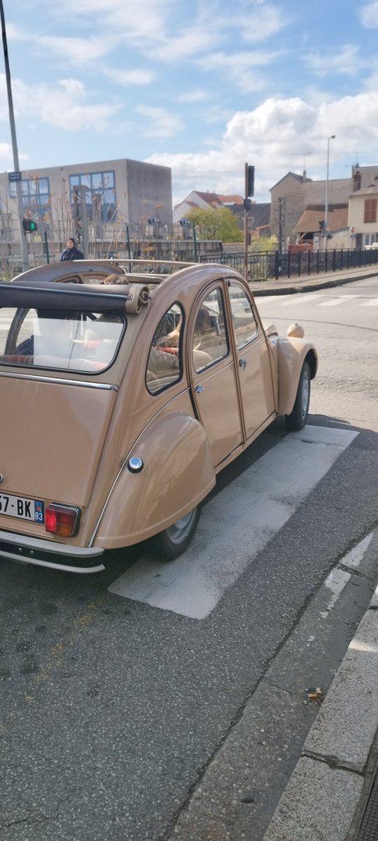 Helen Sol tweet media