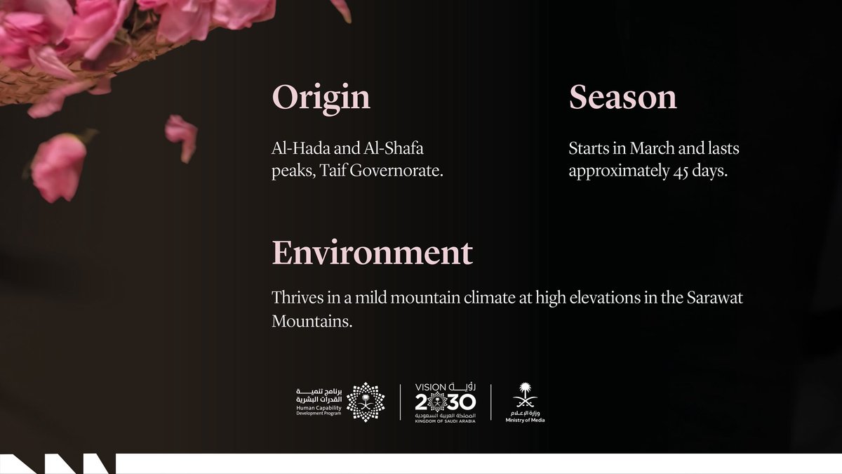 كنوز السعودية tweet media