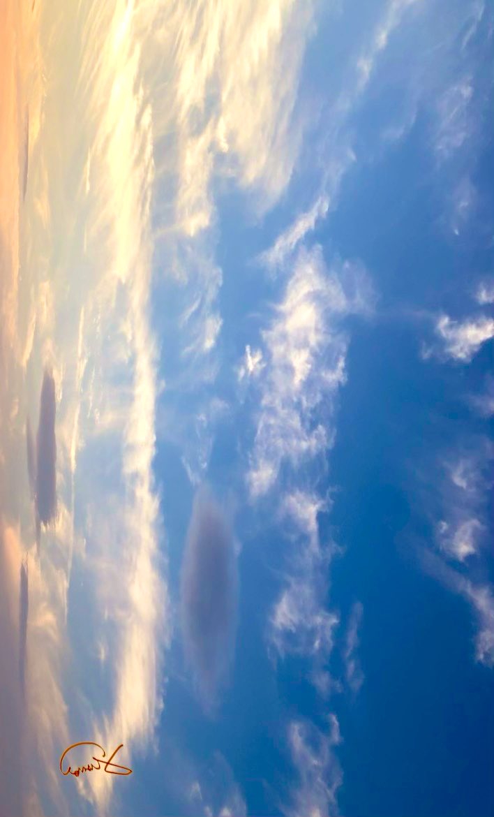 ちきゅう。 tweet media