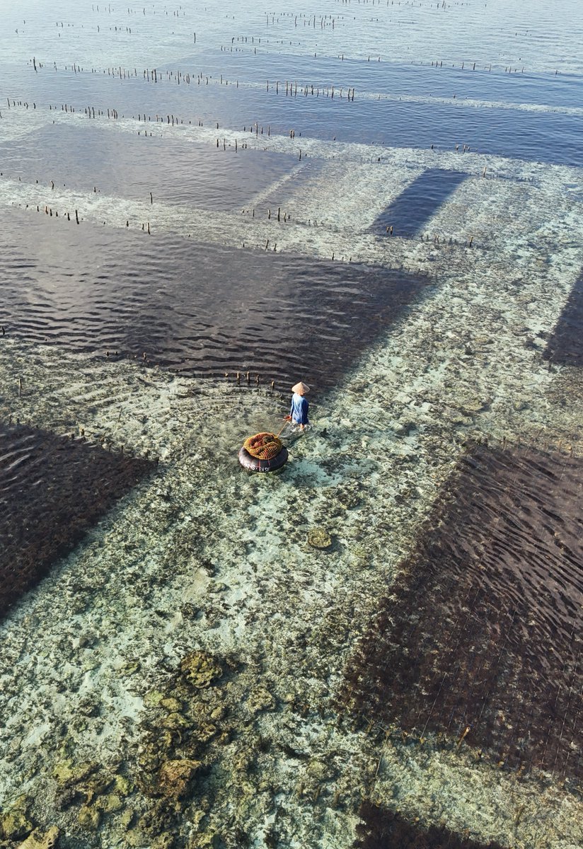 Shlok Khemani tweet media