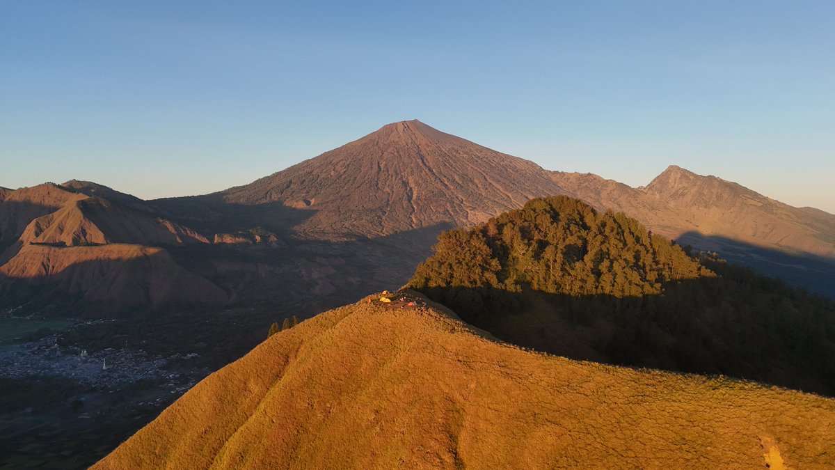 Shlok Khemani tweet media