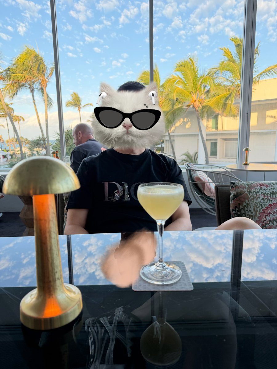 通透 Lee tweet media