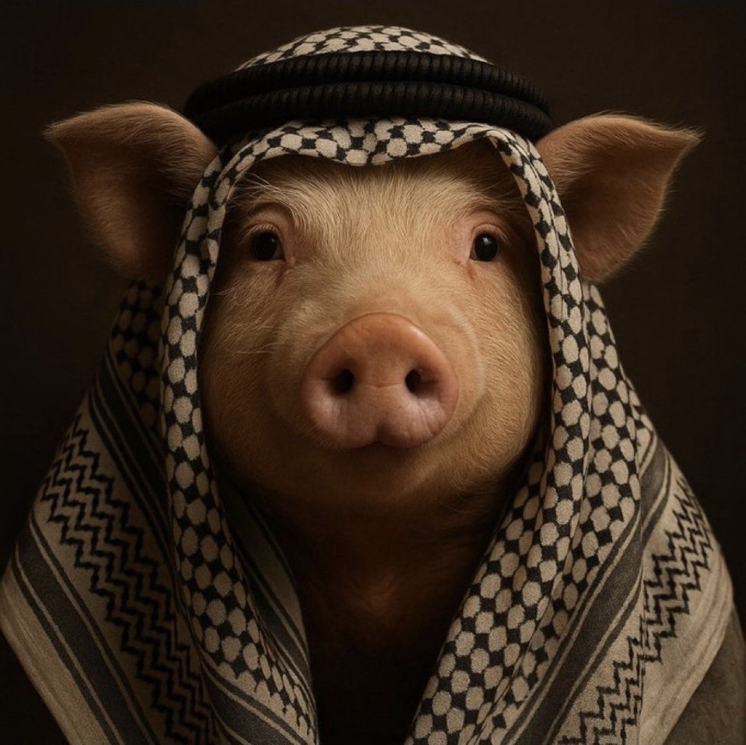 Asaf ash tweet media