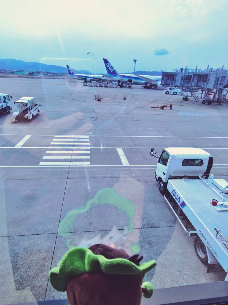 いちがつ🌳🦖 tweet media