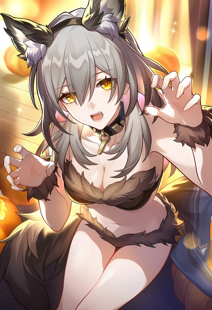 Stelle/ciphera tweet media