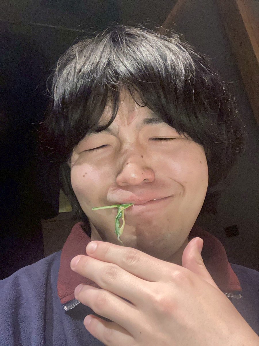 3/31(火)「また、親泣かせ」 tweet media
