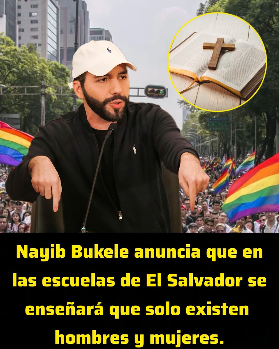 MARIA CASANOVA🌹🌹🌹🌹🌹🌹🌹🌹🌹🌹🌹🌹🌹🌹🌹🌹🌹🌹 tweet media