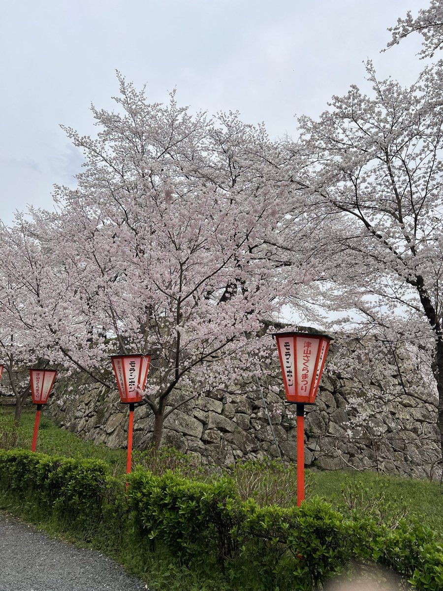 ミニゴリ🍩 tweet media