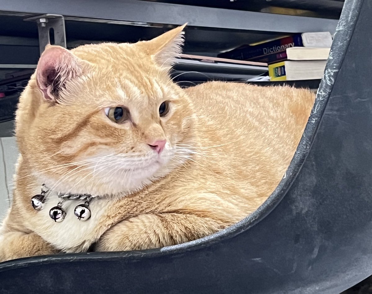 Pak RT Koko tweet media