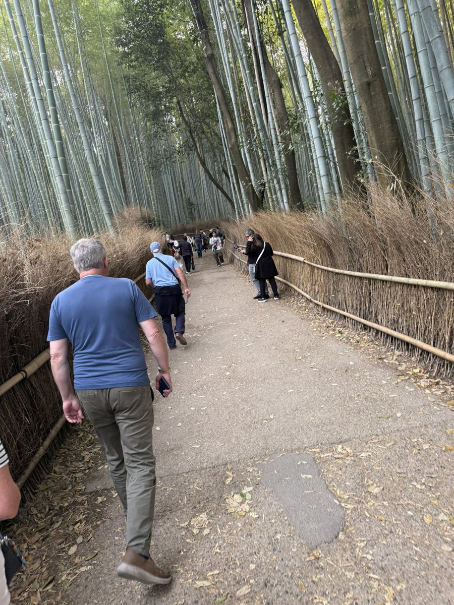 カメさん@δεσμός tweet media