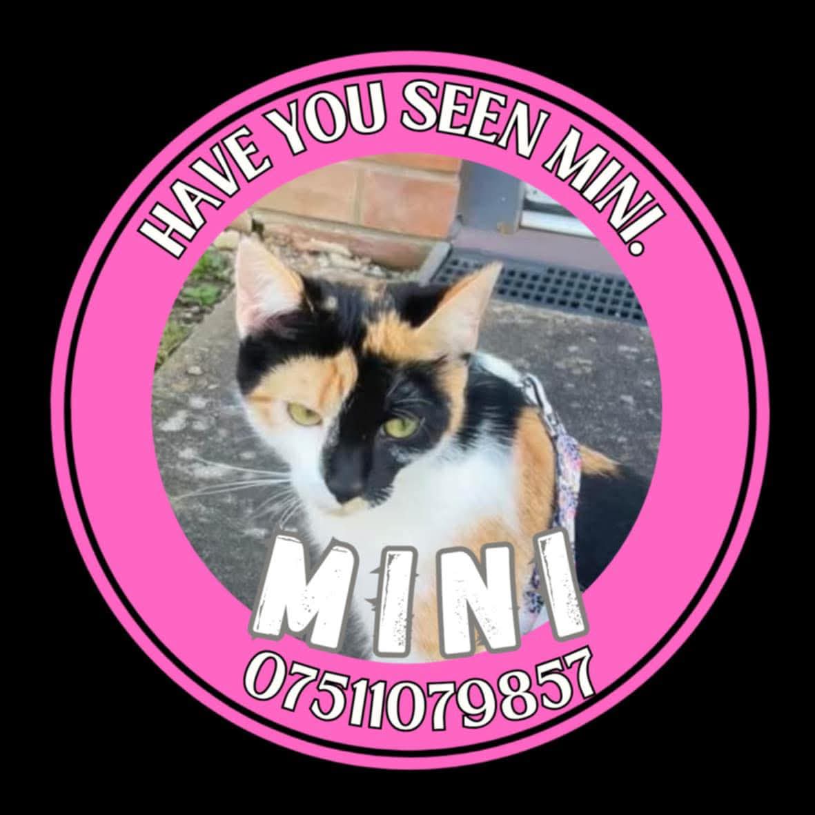 Missing Pets GB tweet media