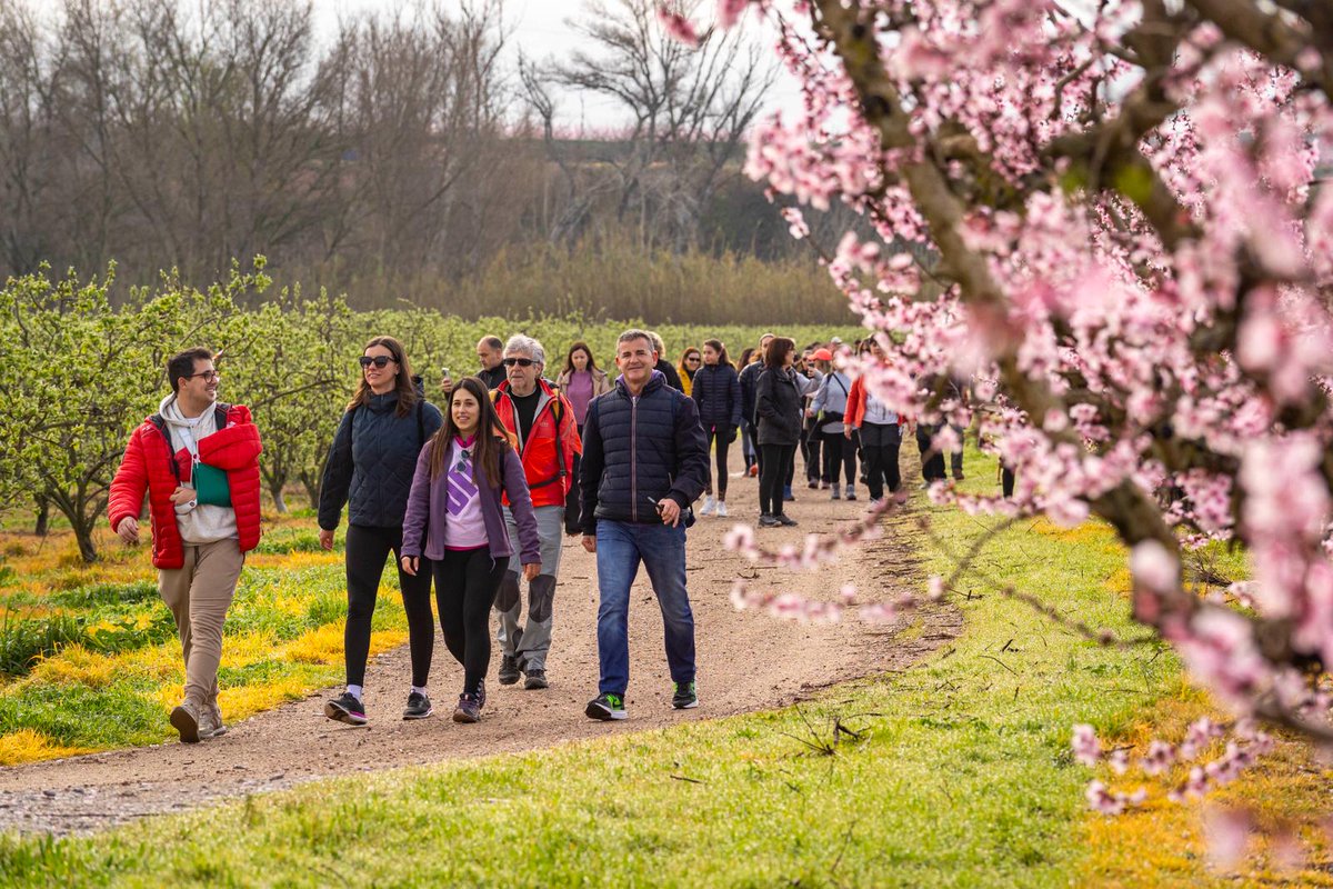 Ajuntament d'Aitona tweet media