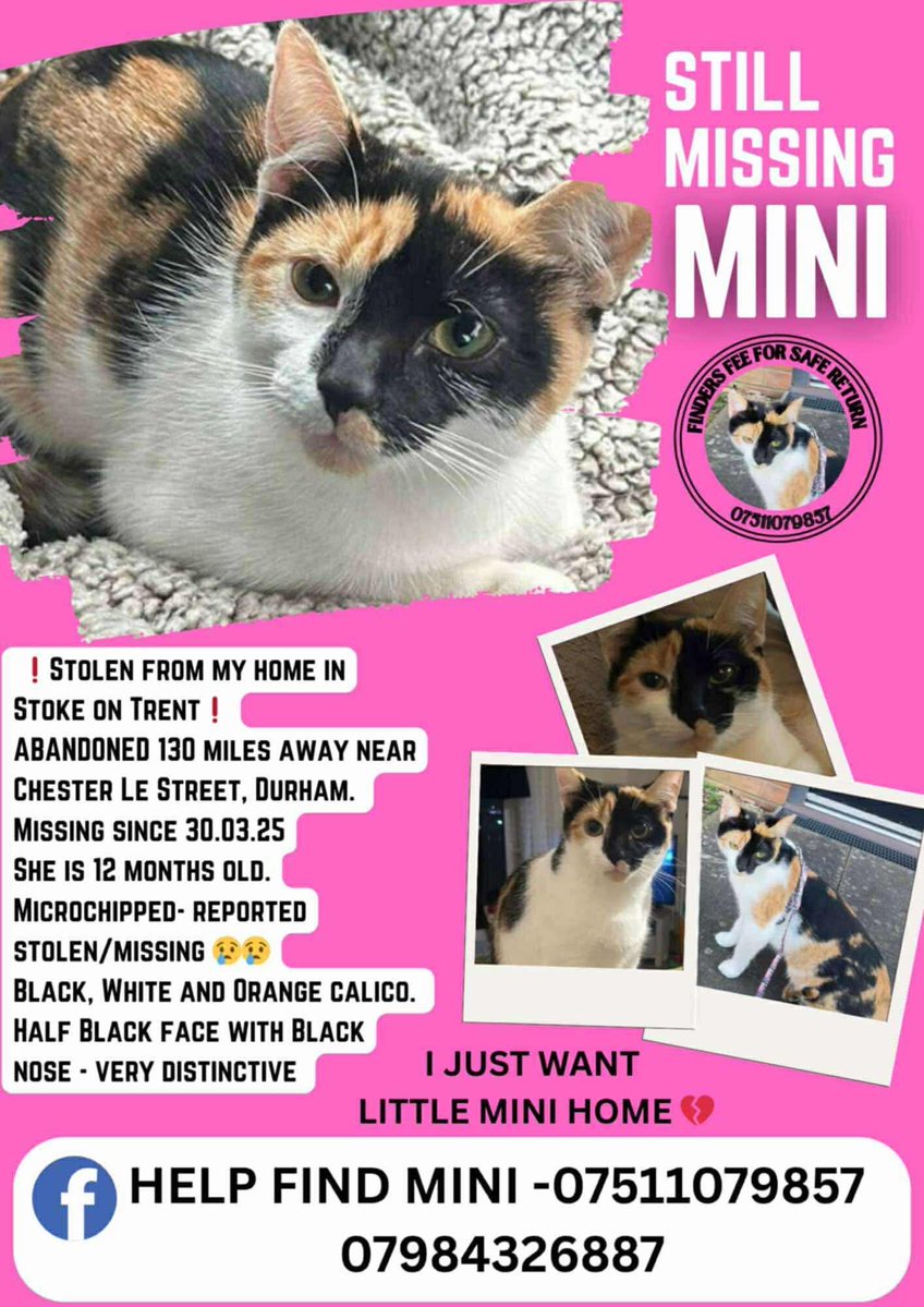 Missing Pets GB tweet media