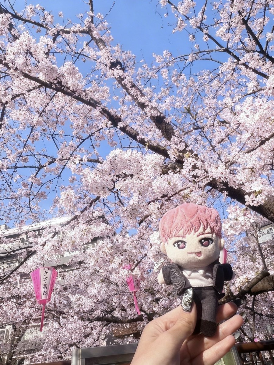 🐶🎀 tweet media