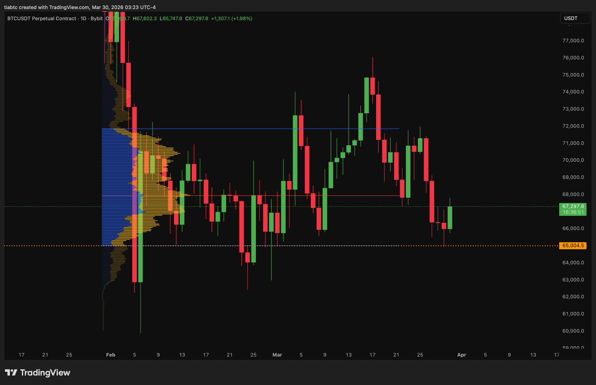 提阿非羅TiaBTC tweet media