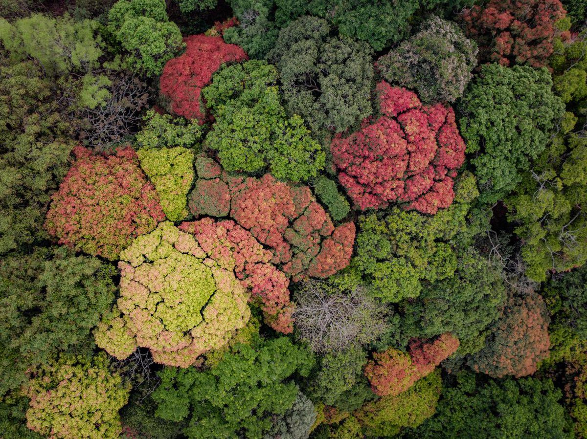 Supriya Sahu IAS tweet media