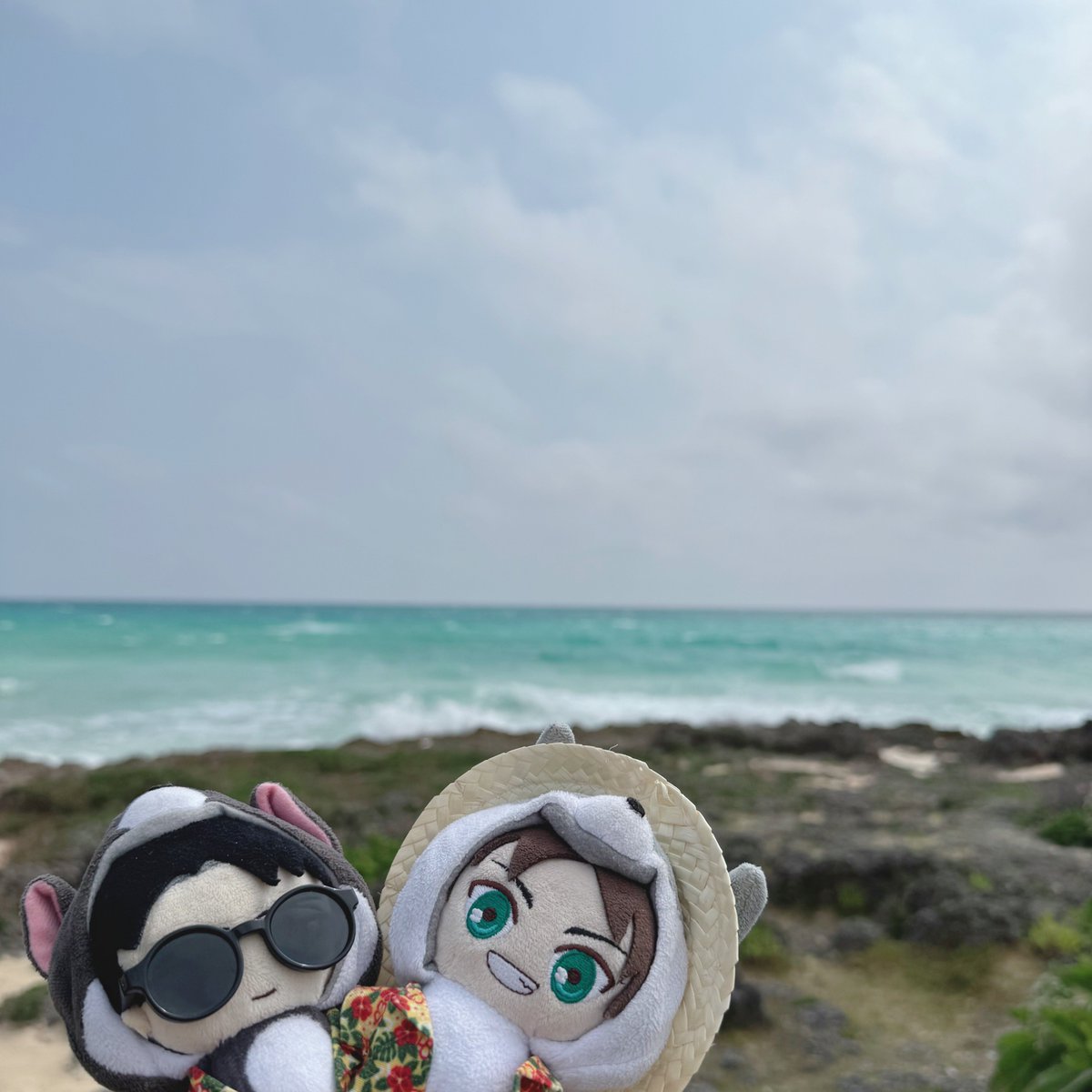 ︎︎おゆう🧁 tweet media