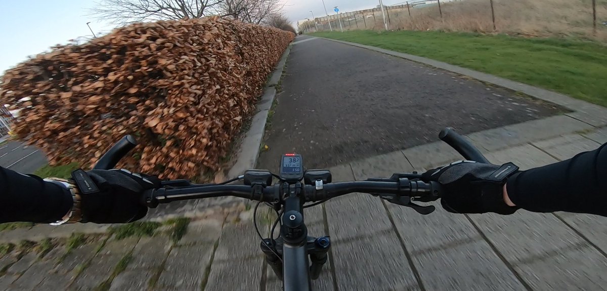 M_Hartl's tweet image. Beautiful morning in #WardieBay: today: #CyclingToWork; #admin; #meetings; #lifeofanacademic markhartl.hw.ac.uk