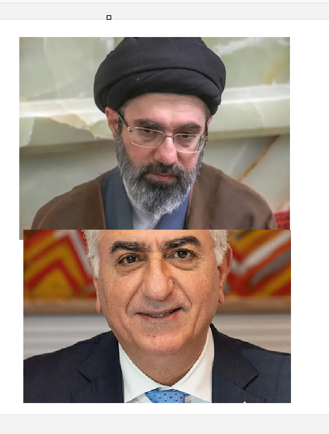 Botin Kurdistani tweet media