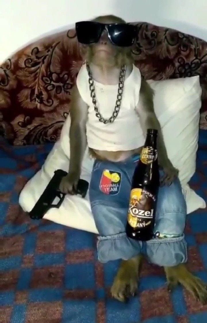 이백사 tweet media