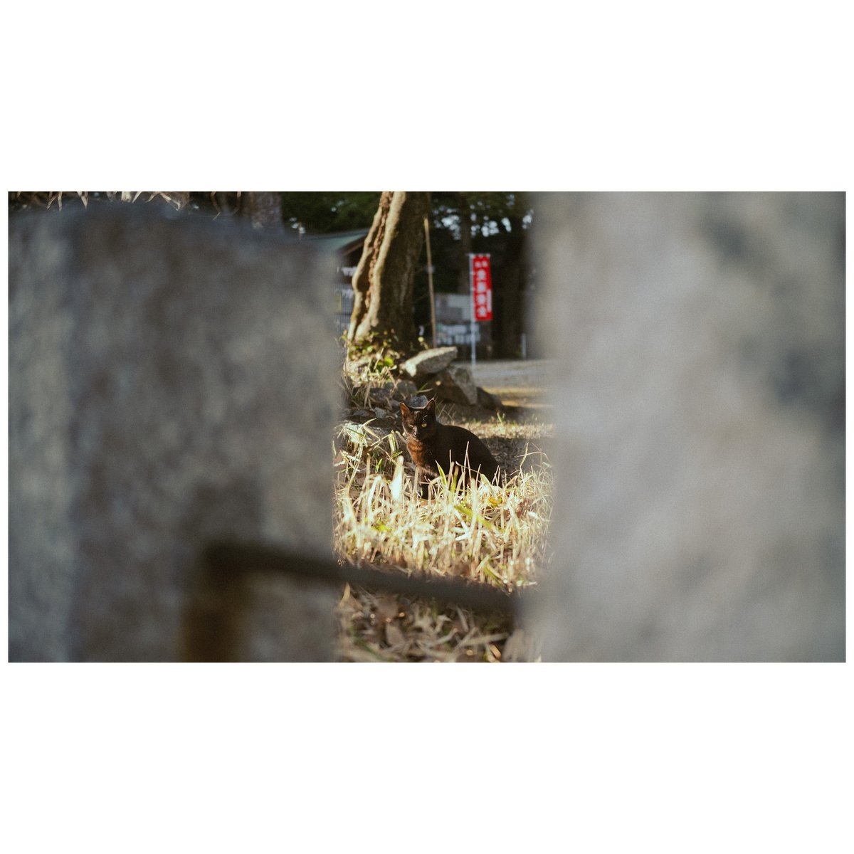 YON / Nozomi Yasue tweet media