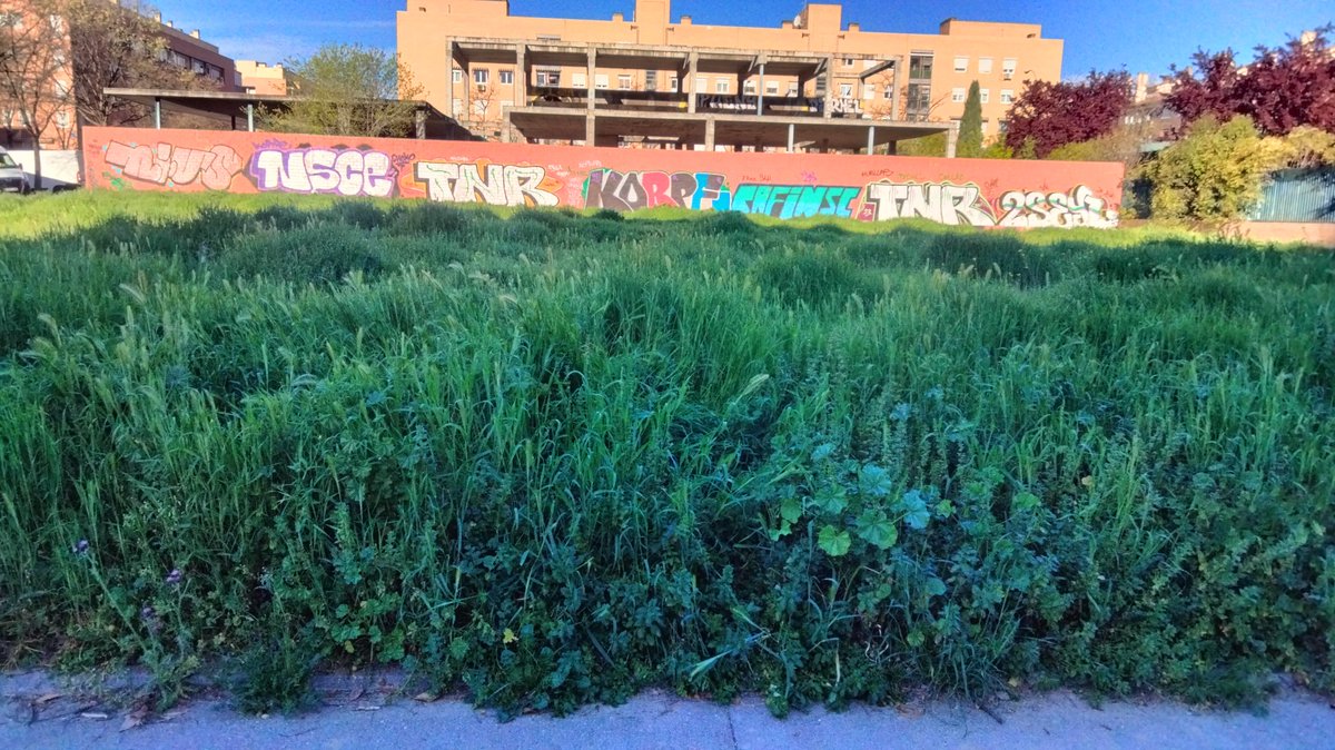 Asociación Vecinal Leganés Norte tweet media