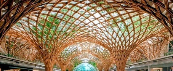 P C Mohan tweet media